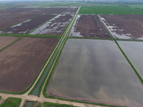 Überflutete Reisfelder. agronomische Anbaumethoden für Reis auf den Feldern. — Stockfoto