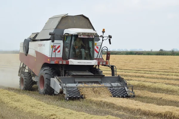 Russia Poltavskaya Village September 2015 Rice Harvesting Combine Autumn Harvesting — Stock Photo, Image