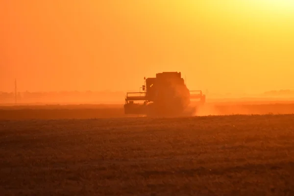 Cosecha Por Combina Atardecer Maquinaria Agrícola Funcionamiento — Foto de Stock