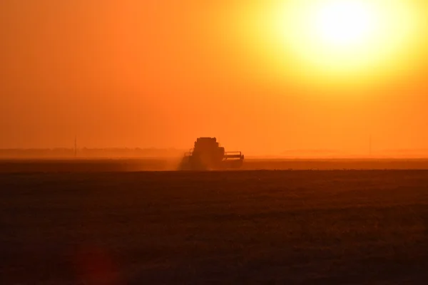 Cosecha Por Combina Atardecer Maquinaria Agrícola Funcionamiento — Foto de Stock