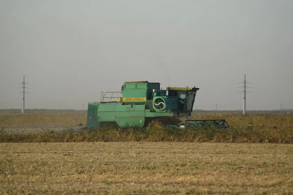 Récolte Soja Par Combine Dans Champ Machines Agricoles Fonctionnement — Photo