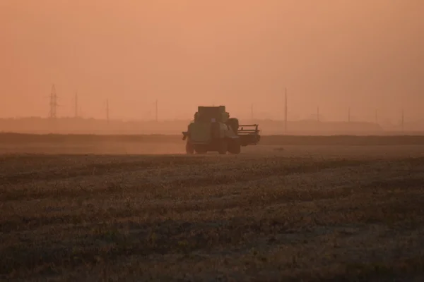 Cosecha Por Combina Atardecer Maquinaria Agrícola Funcionamiento — Foto de Stock