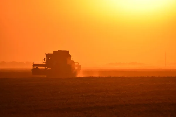 Raccolta Mietitrebbie Tramonto Macchine Agricole Funzione — Foto Stock