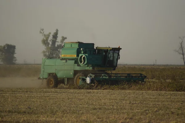 Récolte Soja Par Combine Dans Champ Machines Agricoles Fonctionnement — Photo