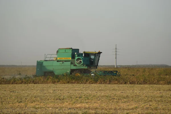 Récolte Soja Par Combine Dans Champ Machines Agricoles Fonctionnement — Photo