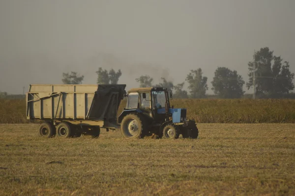 Récolte Soja Par Combine Dans Champ Machines Agricoles Fonctionnement — Photo