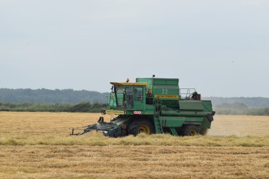 Rusya, Poltavskaya Köyü - 6 Eylül 2015: hasat toplama kombaynları Don. Tarım makineleri