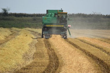 Rusya, Poltavskaya Köyü - 6 Eylül 2015: hasat toplama kombaynları Don. Tarım makineleri