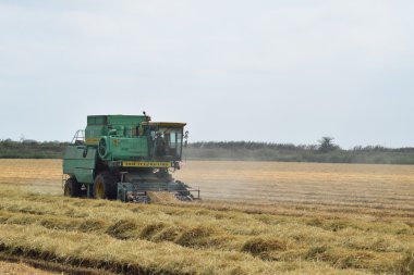 Rusya, Poltavskaya Köyü - 6 Eylül 2015: hasat toplama kombaynları Don. Tarım makineleri