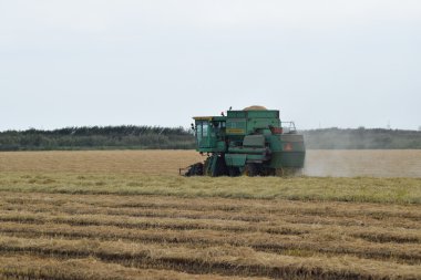 Don hasat toplama kombaynları. Tarım makineleri.
