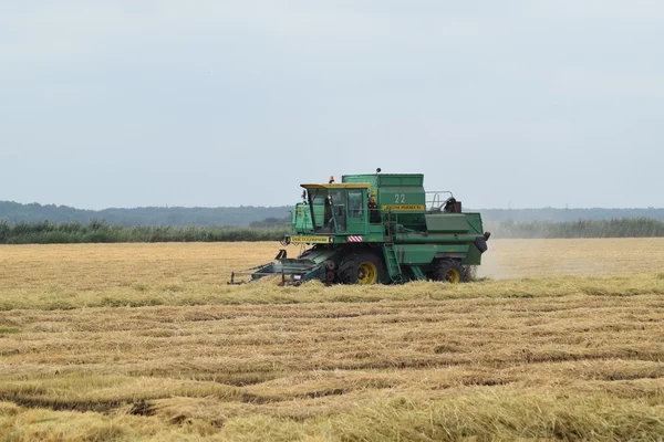 Rusya, Poltavskaya Köyü - 6 Eylül 2015: hasat toplama kombaynları Don. Tarım makineleri