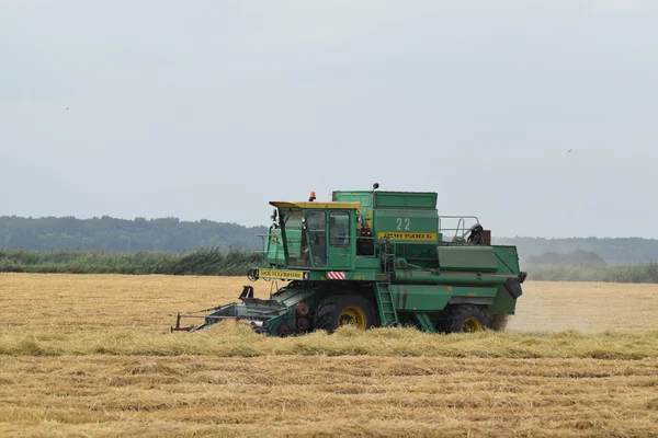 Rusya, Poltavskaya Köyü - 6 Eylül 2015: hasat toplama kombaynları Don. Tarım makineleri