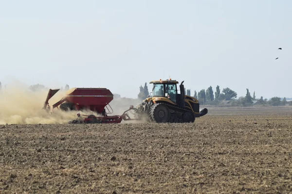 Trekker rijdt op het veld en maakt de meststof in de bodem. Meststoffen na het ploegen van het veld. — Stockfoto