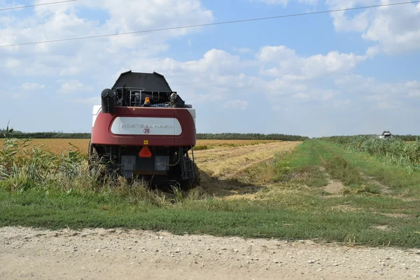 Rusland Poltavskaya Village September 2015 Maaidorsers Torum Landbouwmachines — Stockfoto