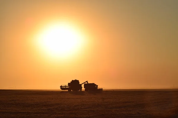 Tarafından Hasat Günbatımında Birleştirir Operasyonda Tarım Makineleri — Stok fotoğraf