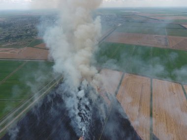 Burning straw in the fields clipart