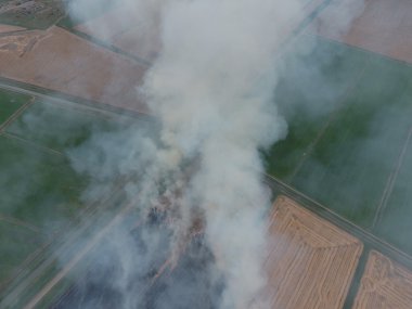 Yanan saman alanlarındaki