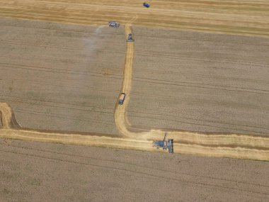υψηλής ανάλυσης απόδοσης μιας πυξίδας με ένα εικονίδιο του πελάτη