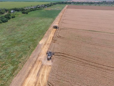 υψηλής ανάλυσης απόδοσης μιας πυξίδας με ένα εικονίδιο του πελάτη