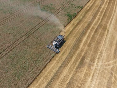 υψηλής ανάλυσης απόδοσης μιας πυξίδας με ένα εικονίδιο του πελάτη
