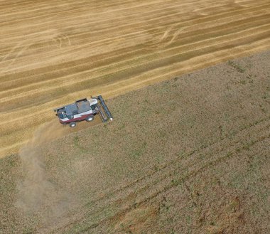 υψηλής ανάλυσης απόδοσης μιας πυξίδας με ένα εικονίδιο του πελάτη