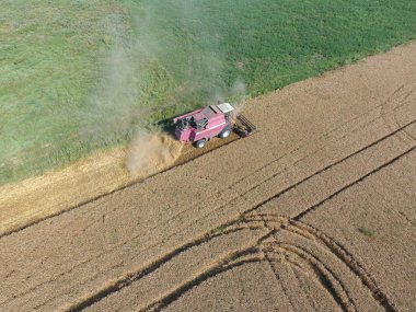 Buğday hasat Temizleme