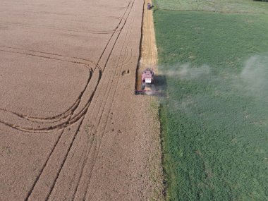 Buğday hasat Temizleme