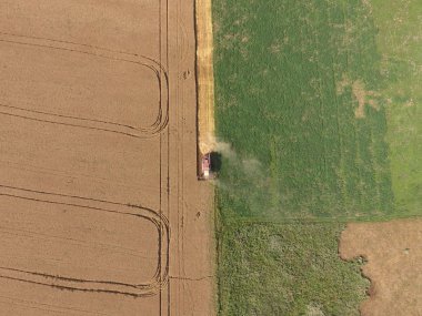 Buğday hasat Temizleme