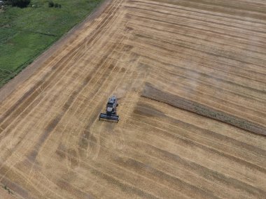 Buğday hasat hasat. Operasyonda Tarım makineleri.