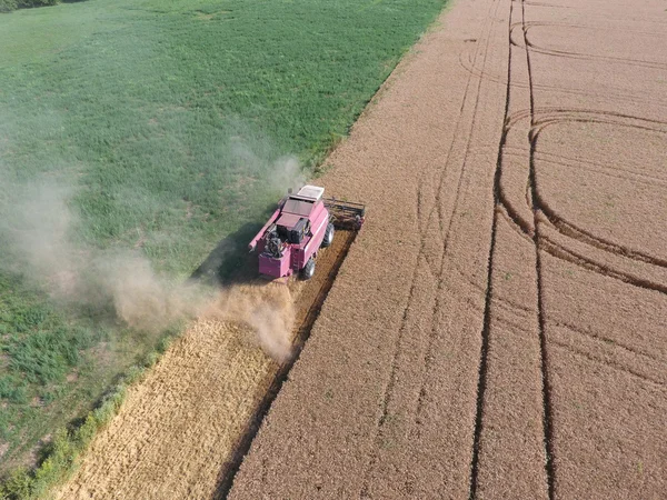 Reiniging van tarwe harvester — Stockfoto