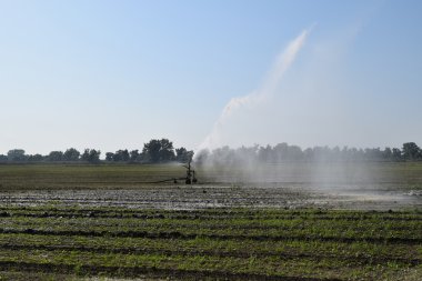 Otomatik sahada sulama için ekipman. Yangın izler ve alan sulama döner.
