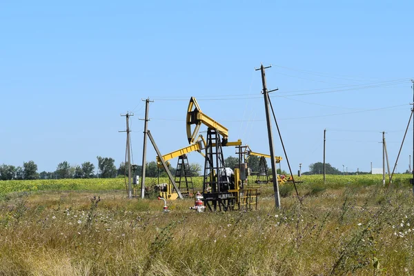 Pumpenheten Som Oljepumpen Installerad Brunn Utrustning Oljefält — Stockfoto