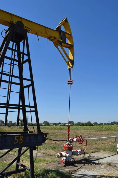 Petrol Pompası Bir Kuyuya Yerleştirildiğinde Pompalama Ünitesi Petrol Sahaları Ekipmanı — Stok fotoğraf