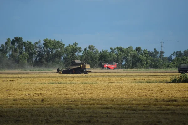 Cosechadora Combinada Maquinaria Agrícola Para Cosecha Los Campos — Foto de Stock