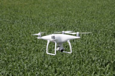 Beyaz quadrocopters buğday bir alan üzerinde uçan