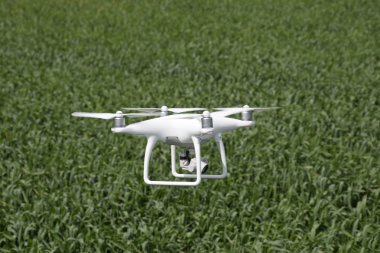 Beyaz quadrocopters buğday bir alan üzerinde uçan