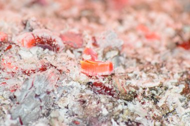 Fırında sıcak kömür. Parçacıkları ısıtarak kırmızı yandı.