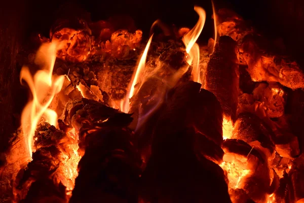 ストーブの中で熱い石炭 粒子ツリーを加熱することによって燃焼赤 — ストック写真
