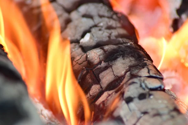 炉子里的热煤块 红色因加热粒子树而燃烧 — 图库照片