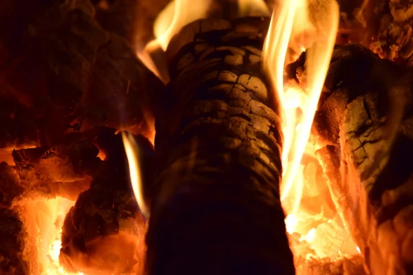 Hot Coals Stove Red Burned Heating Particles Tree — Stock Photo, Image