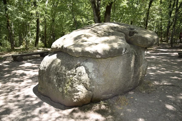 Μεγάλο Dolmen Shapsug Μια Κατασκευή Megalytic Στο Δάσος Του Κουμπάν — Φωτογραφία Αρχείου