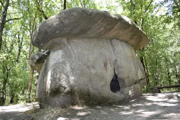 Big Shapsug Dolmen Uma Construção Megalítica Floresta Kuban — Fotografia de Stock