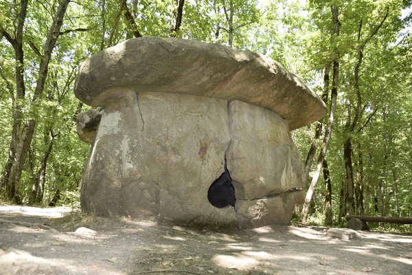 Μεγάλο Dolmen Shapsug Μια Κατασκευή Megalytic Στο Δάσος Του Κουμπάν — Φωτογραφία Αρχείου