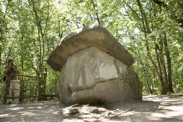 Big Shapsug Dolmen Uma Construção Megalítica Floresta Kuban — Fotografia de Stock
