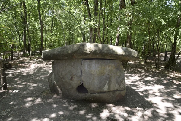 Μεγάλο Dolmen Shapsug Μια Κατασκευή Megalytic Στο Δάσος Του Κουμπάν — Φωτογραφία Αρχείου