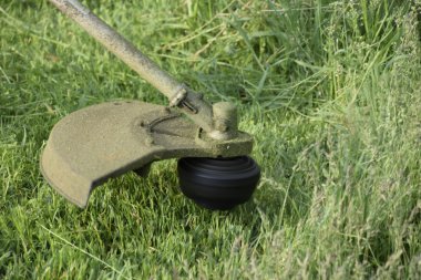 Balık tutma çizgi düzeltici kullanarak yeşil çim biçme. Uygulama & bıyık kesme makineleri.
