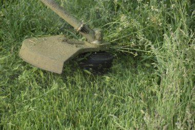 Balık tutma çizgi düzeltici kullanarak yeşil çim biçme. Uygulama & bıyık kesme makineleri.