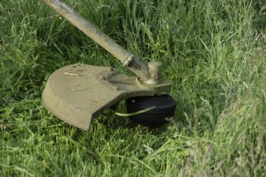 Balık tutma çizgi düzeltici kullanarak yeşil çim biçme. Uygulama & bıyık kesme makineleri.