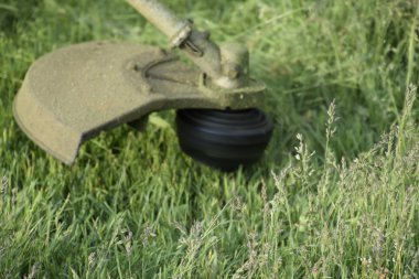 Balık tutma çizgi düzeltici kullanarak yeşil çim biçme. Uygulama & bıyık kesme makineleri.