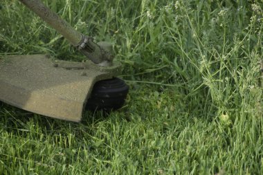 Balık tutma çizgi düzeltici kullanarak yeşil çim biçme. Uygulama & bıyık kesme makineleri.